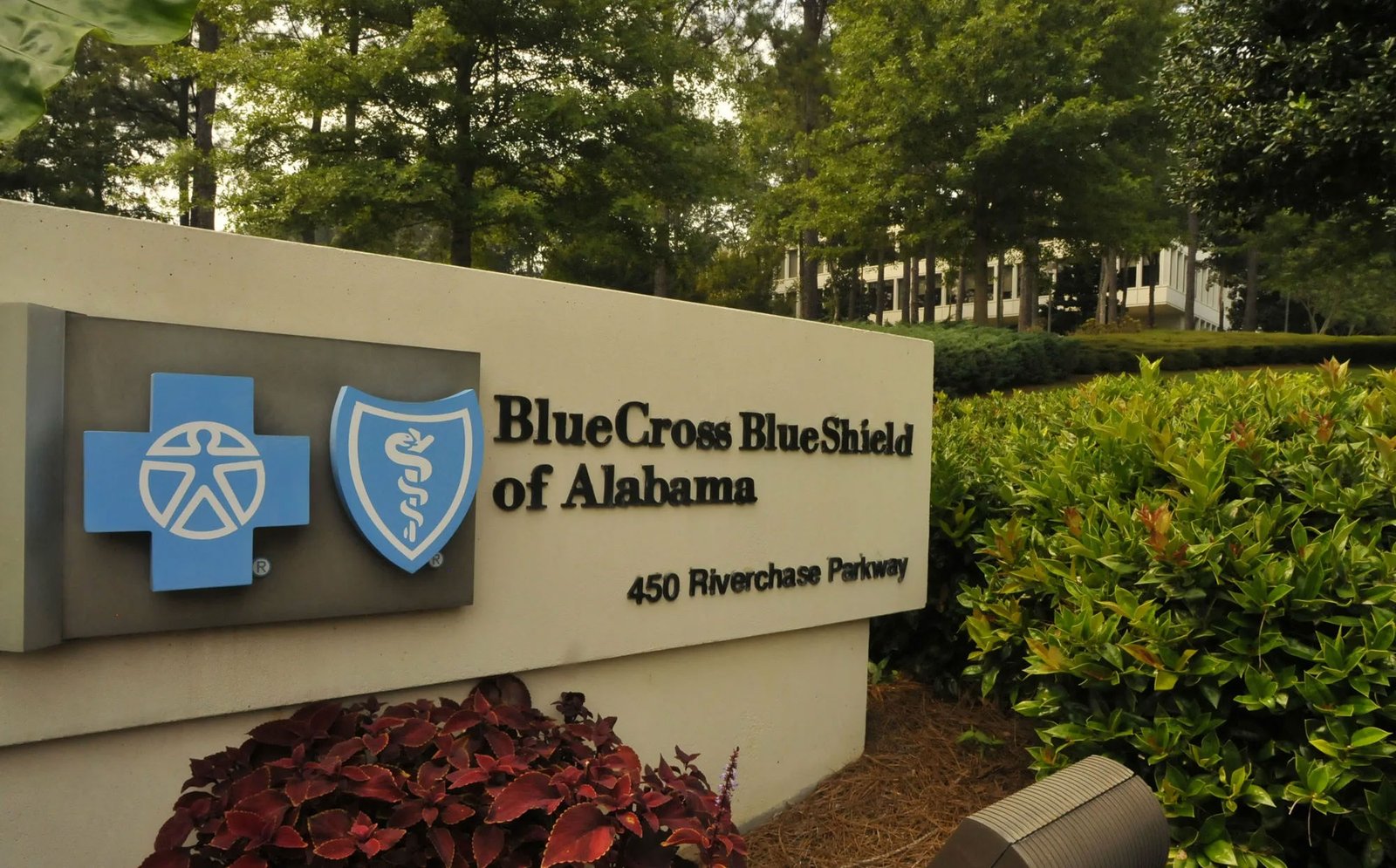 blue cross preferred providers