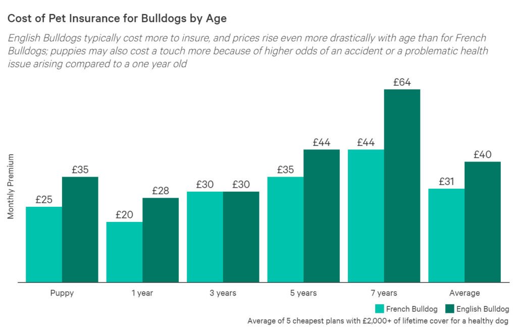 English Bulldog Insurance Plan Features