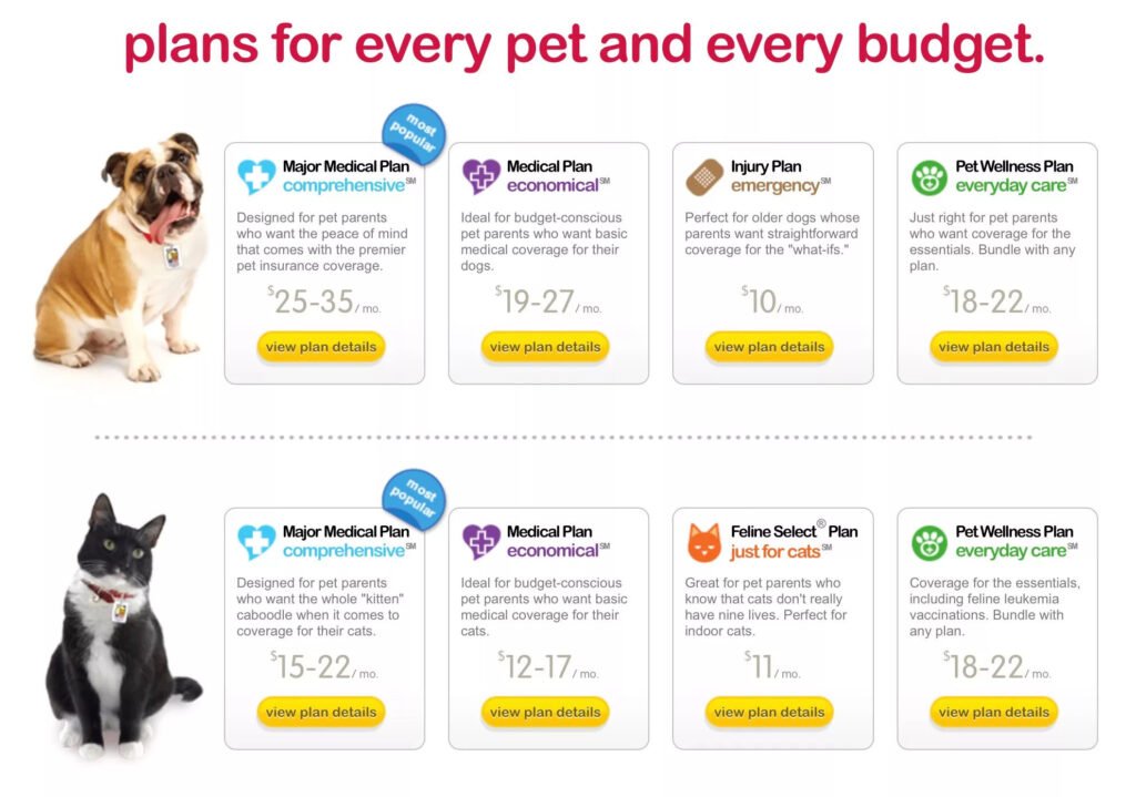 Guardian Pet Insurance Ontario Cost